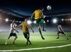 宾夕法尼亚,万枚鸡蛋失,价格激增超,开云体育,开云体育官网,开云体育app,开云体育app下载