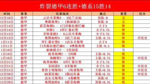 马特乌斯认为多特表现欠佳非科瓦奇之过
